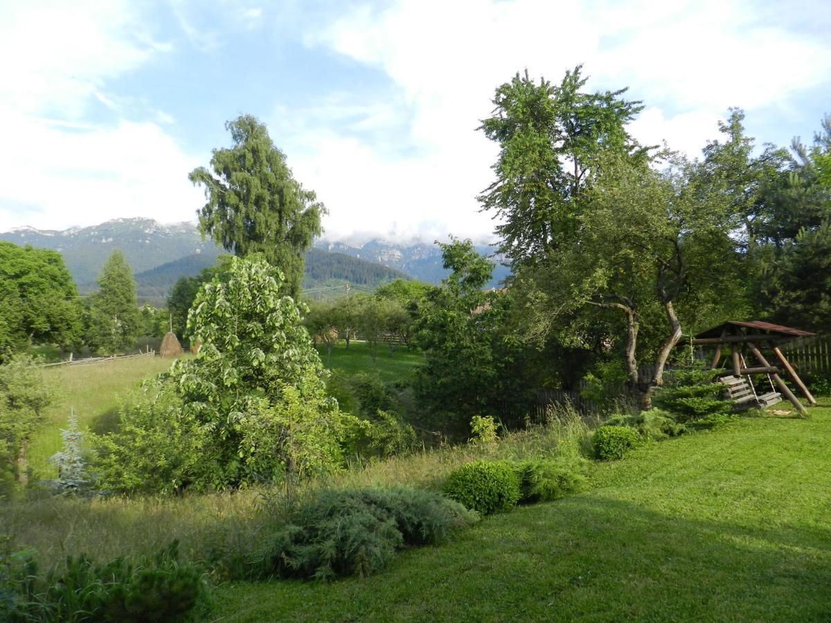 Cabana Festung Bran  Esterno foto