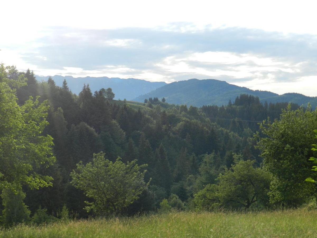 Cabana Festung Bran  Esterno foto