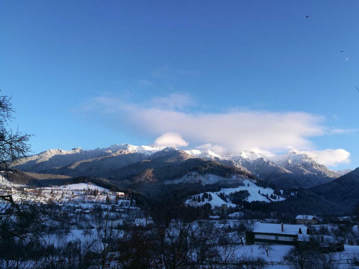 Cabana Festung Bran  Esterno foto