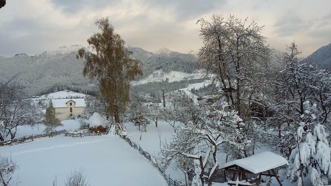 Cabana Festung Bran  Esterno foto