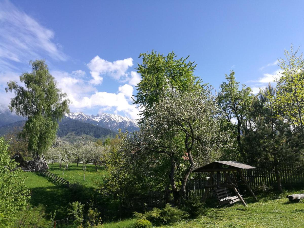 Cabana Festung Bran  Esterno foto