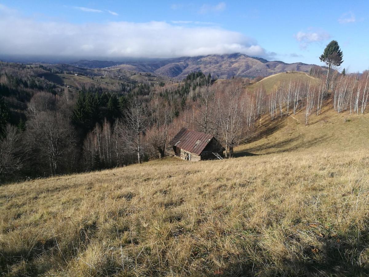 Cabana Festung Bran  Esterno foto