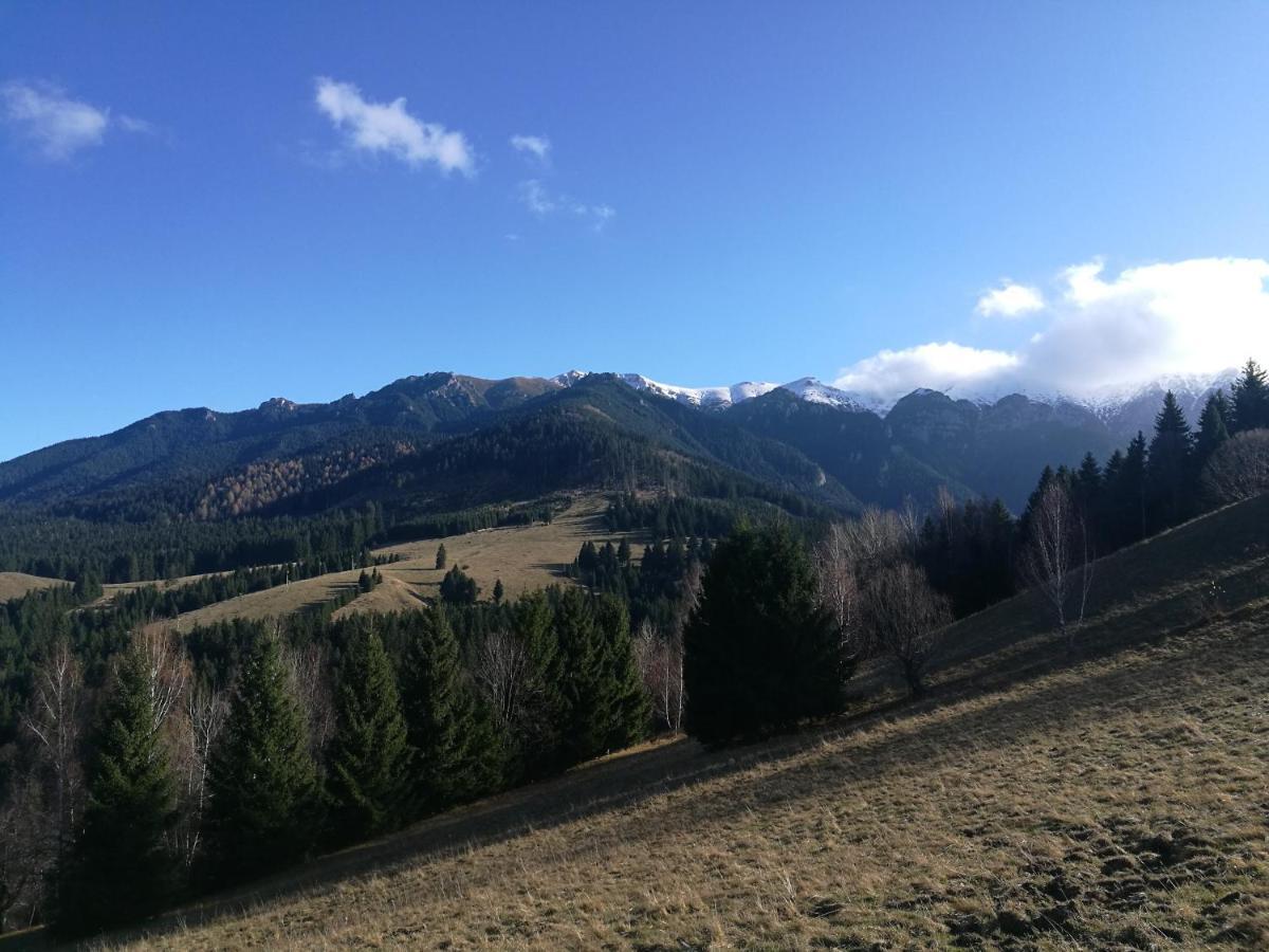 Cabana Festung Bran  Esterno foto